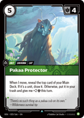 Pakaa Protector