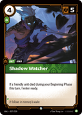 Shadow Watcher
